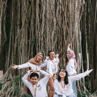Tim Program